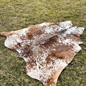 May include: A cowhide rug with a natural pattern of brown and white spots. The rug is irregularly shaped and lies on a bed of green grass, showcasing its organic form and texture. The hide appears soft and supple.