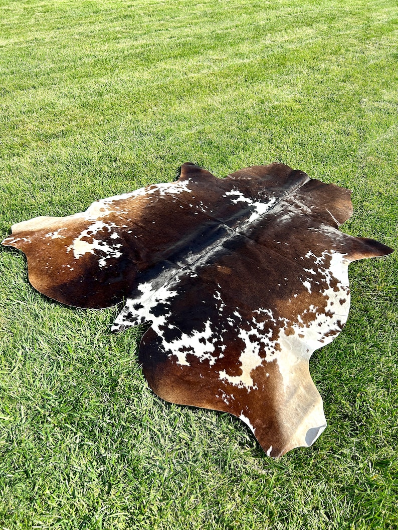 Pu&ograve; includere: Un tappeto di pelle di mucca marrone e bianco con un motivo maculato naturale. Il tappeto &egrave; steso su una superficie erbosa verde.