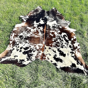 May include: A cowhide rug with a natural pattern of brown, black, and white spots. The rug is laid out on a bed of green grass, showcasing its organic shape and texture. The hide is a large size, suitable for a living room or bedroom.