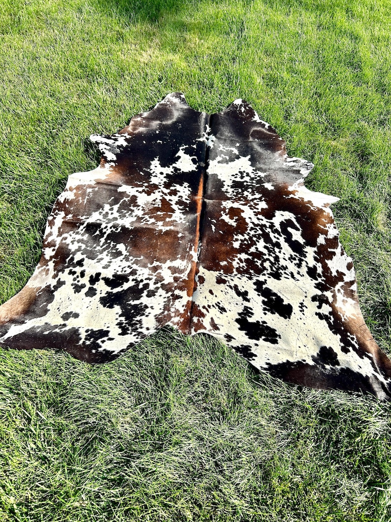 May include: A cowhide rug with a natural pattern of brown, black, and white spots. The rug is laid out on a bed of green grass, showcasing its organic shape and texture. The hide is a large size, suitable for a living room or bedroom.