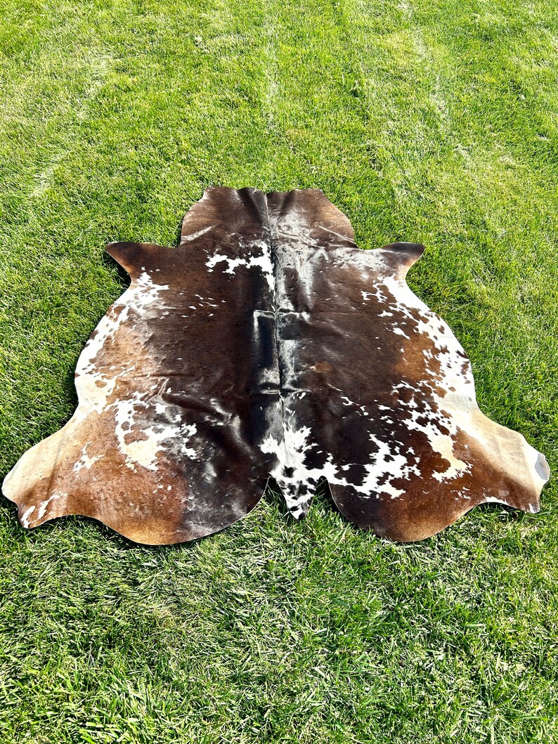 Pu&ograve; includere: Un tappeto di pelle di mucca marrone e bianco con un motivo naturale maculato. Il tappeto &egrave; steso su una superficie erbosa verde.