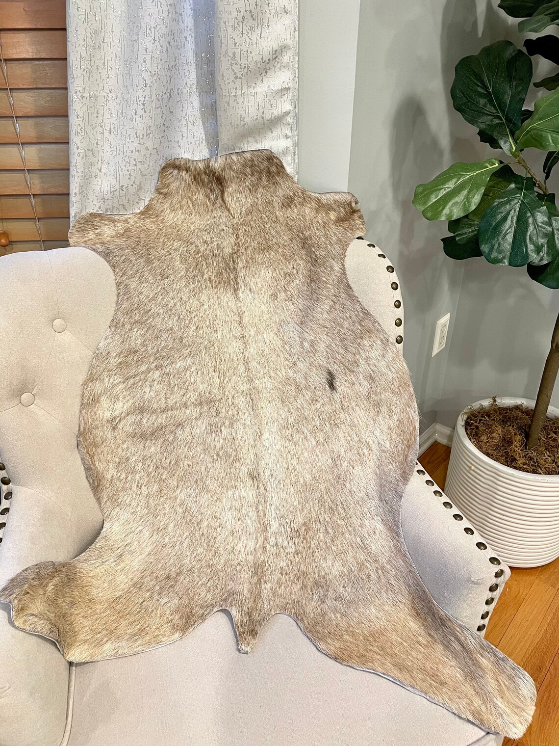 New Original Goat Rug Smooth and Shiny Goathide Rug Hide Etsy