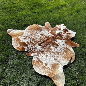May include: A cowhide rug with a natural brown and white spotted pattern. The rug is irregularly shaped and lies on a bed of green grass, showcasing its unique design and texture. This decorative rug adds a rustic touch to any space.