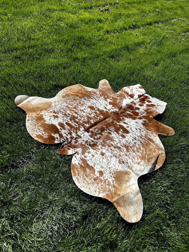May include: A cowhide rug with a natural brown and white spotted pattern. The rug is irregularly shaped and lies on a bed of green grass, showcasing its unique design and texture. This decorative rug adds a rustic touch to any space.