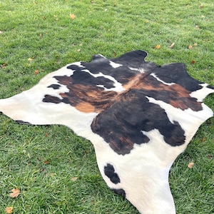 Pu&ograve; includere: Un tappeto di pelle di mucca con macchie nere, marroni e bianche. Il tappeto &egrave; steso su una superficie erbosa verde.