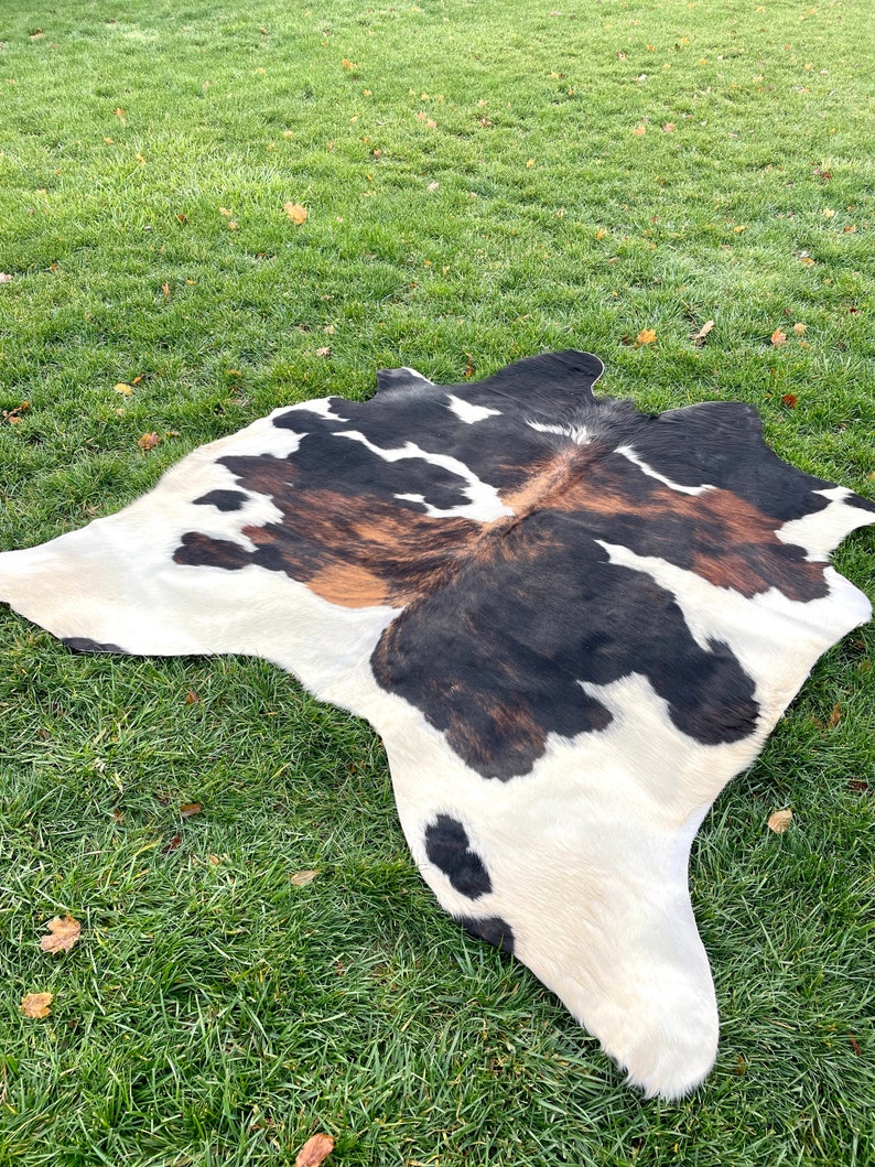 Pu&ograve; includere: Un tappeto di pelle di mucca con macchie nere, marroni e bianche. Il tappeto &egrave; steso su una superficie erbosa verde.