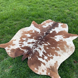Pu&ograve; includere: Un tappeto di pelle di mucca marrone e bianco con un motivo naturale. Il tappeto &egrave; steso su una superficie erbosa verde.