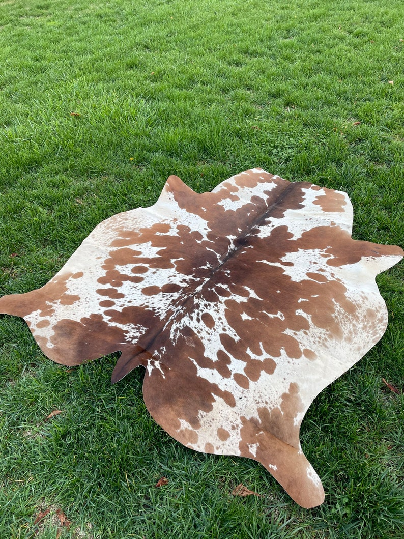 Pu&ograve; includere: Un tappeto di pelle di mucca marrone e bianco con un motivo naturale. Il tappeto &egrave; steso su una superficie erbosa verde.