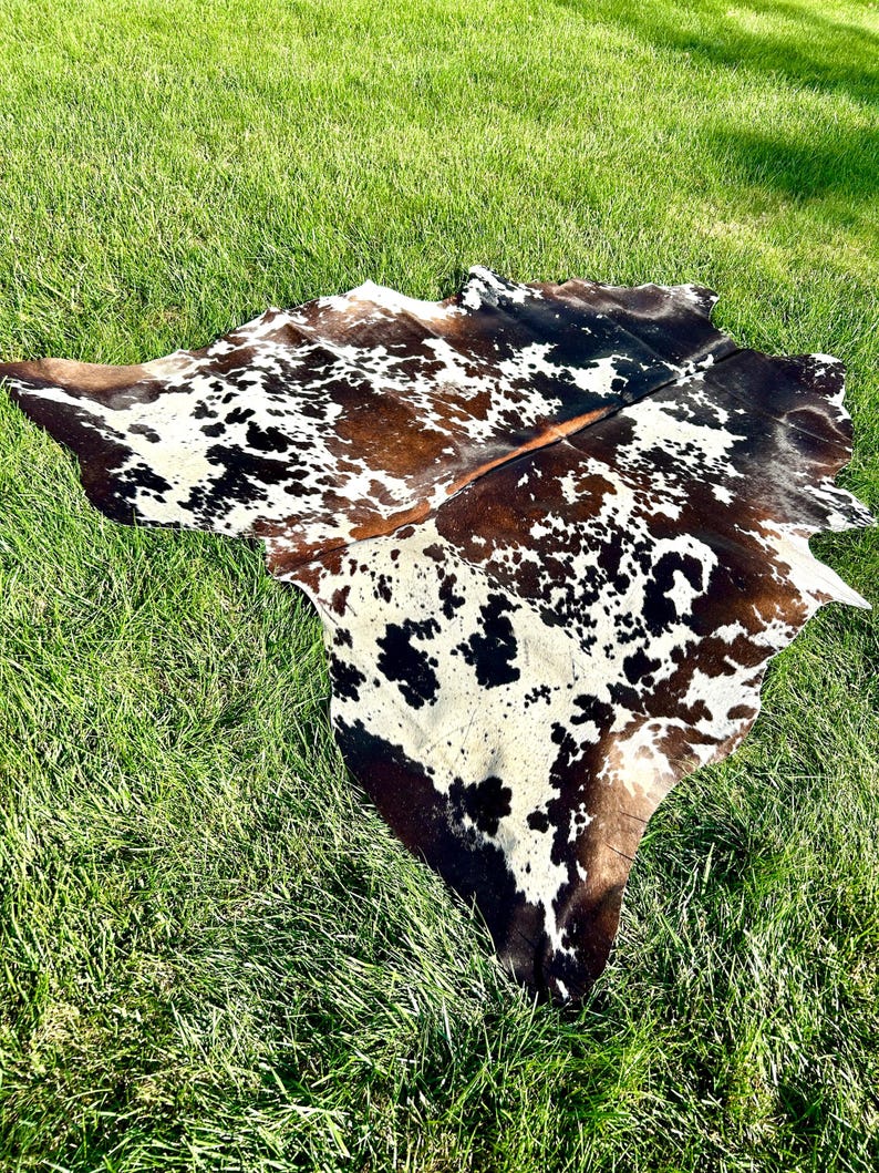 May include: A cowhide rug with a natural pattern of brown, black, and white spots. The rug is irregularly shaped and lies on a bed of green grass, showcasing its unique texture and design. The cowhide is a decorative home decor item.