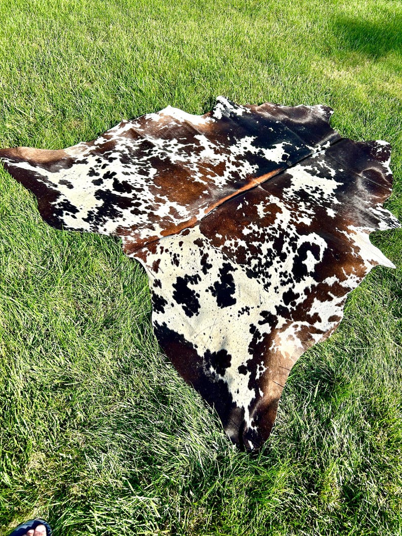 May include: A cowhide rug with a natural pattern of brown, black, and white spots. The rug is irregularly shaped and lies on a bed of green grass, showcasing its unique, organic form. The hide is a decorative accent for any room.