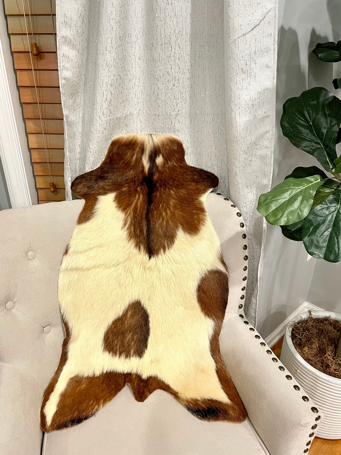 New Original Goat Rug Smooth and Shiny Goat Cowhide Rug Etsy