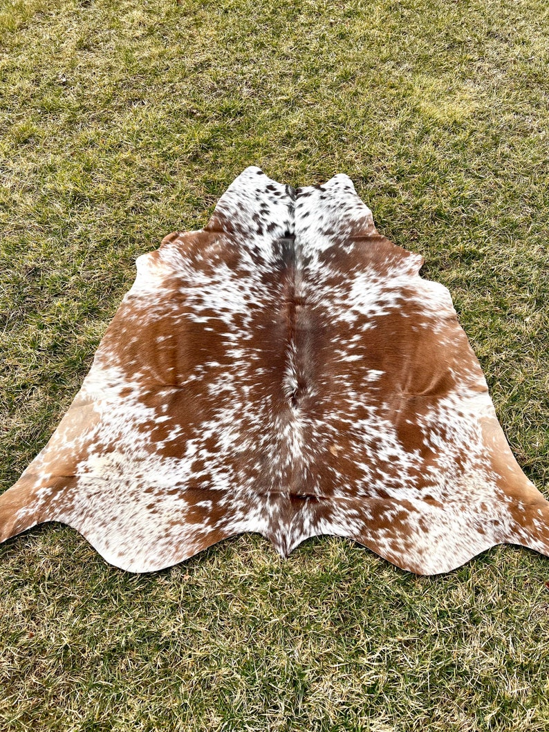 May include: A cowhide rug with a natural pattern of brown, white, and black spots. The rug is irregularly shaped, with a smooth, soft texture. The hide is laid out on a bed of green grass.