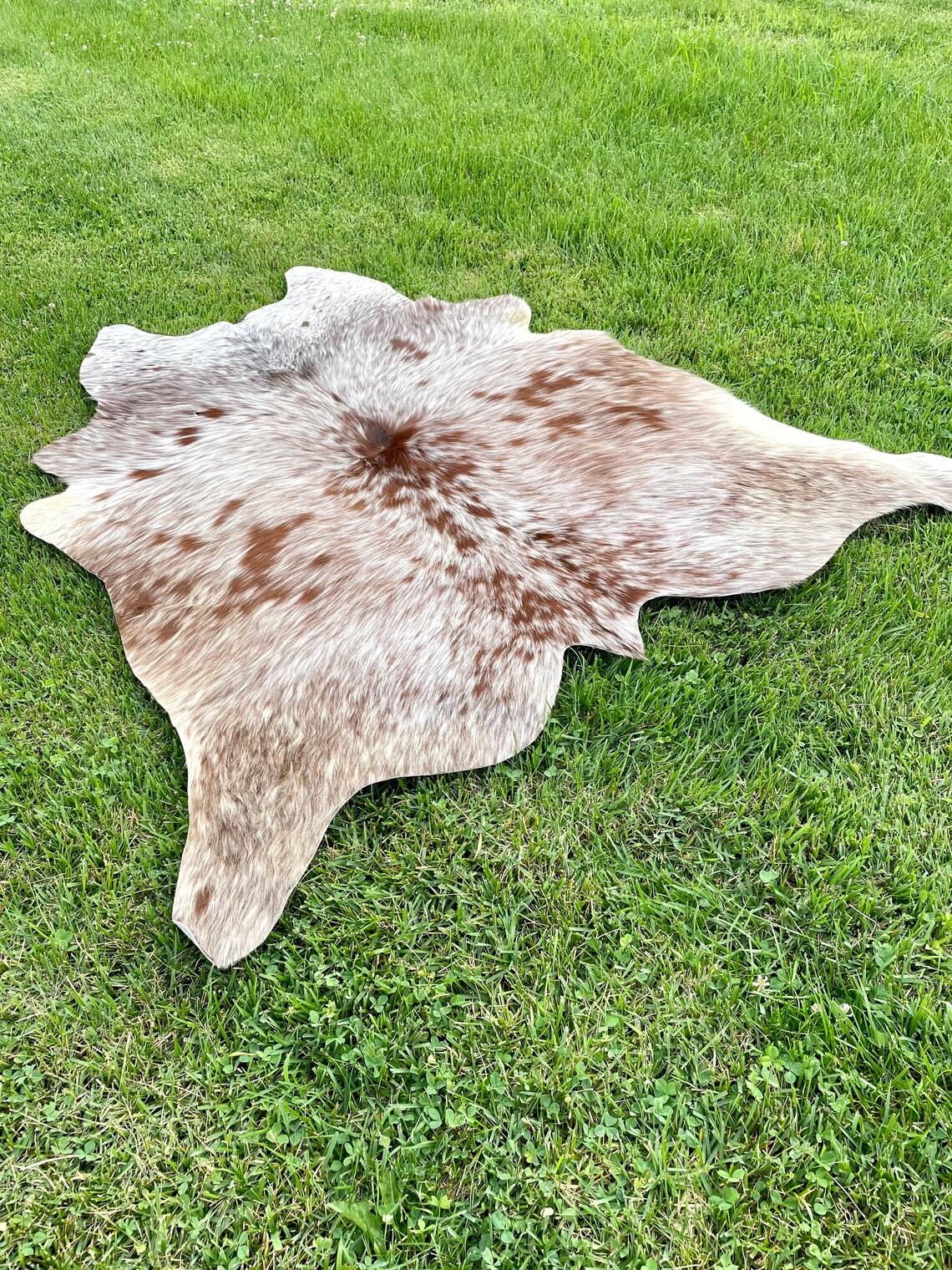 Amazing Genuine Tricolor Hair on Cowhide Rug D4250x 48 Etsy