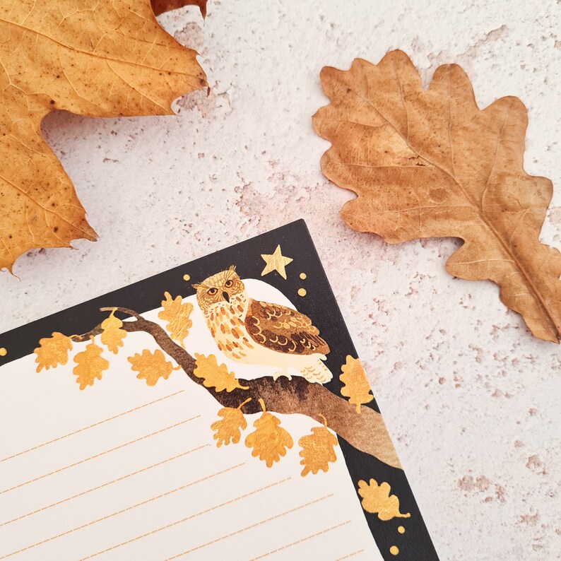 Letter writing set owl and autumnal oak leaves, moon and stars A5 paper with lined recycled envelopes image 3