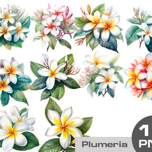 Watercolor plumeria clipart png, Plumeria clipart, Tropical clipart, Floral clipart, Maldives clip art, Frangipani Tropical Arrangements