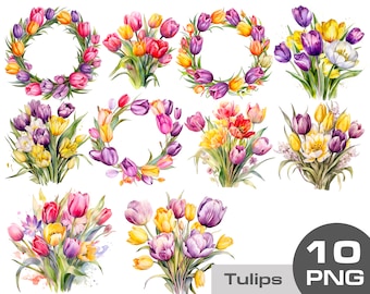 Aquarell Tulpen Clipart png, Tulpen Blumenstrauß Clipart, Frühling Blumen png, Aquarell Tulpen Kranz, Tulpen Arrangements Kostenlose kommerzielle Nutzung