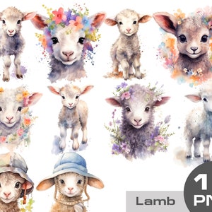 Watercolor lamb clipart, cute lamb png, lamb with flowers, country animals clipart, lamb clipart, Farm animals clipart free commercial use