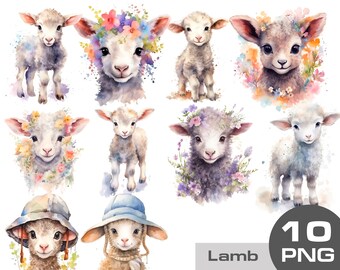 Watercolor lamb clipart, cute lamb png, lamb with flowers, country animals clipart, lamb clipart, Farm animals clipart free commercial use