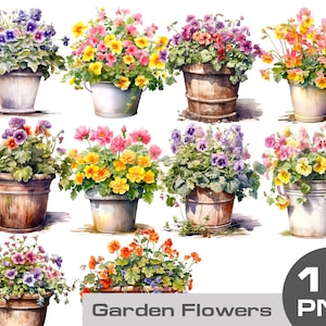 Aquarel bloemenpotten clipart bundel, tuin bloemen clipart, bloempotten png, aquarel huisplanten gratis commercieel gebruik clipart png