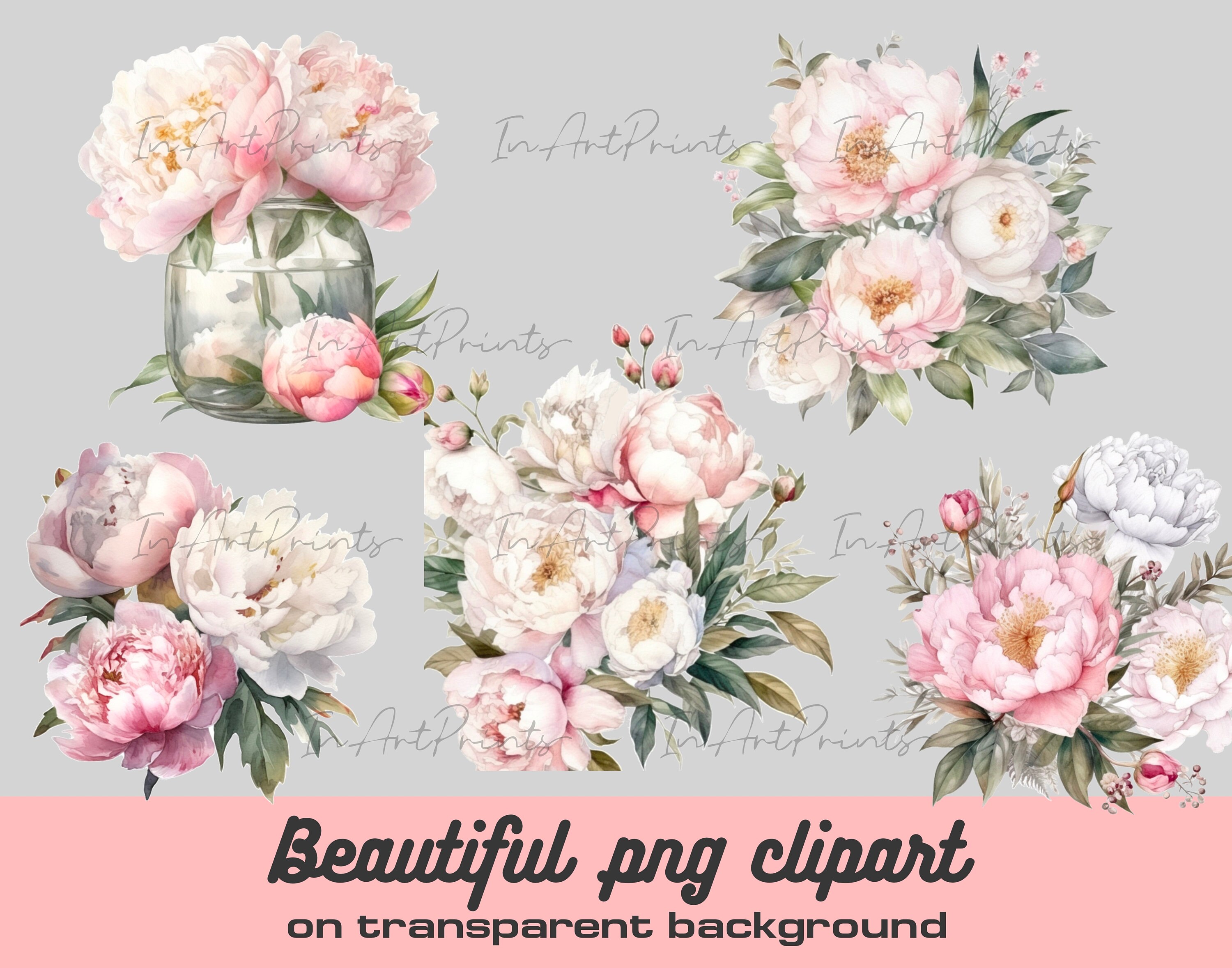Watercolor Pink Peonies Clipart, White Peony Clipart Png, Watercolor ...