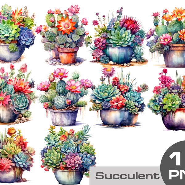 Succulent clipart, watercolor blooming succulent clipart, succulents in a pot png, Watercolor Cactus Clipart - desert cacti PNG