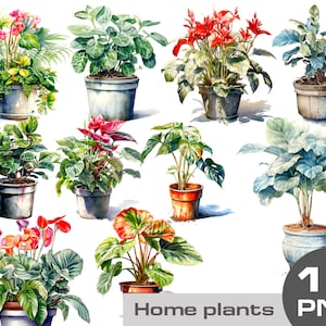 Watercolor house plant clipart, Plant in a pot clipart, Greenery png, House plant png, home plants free commercial use clipart png