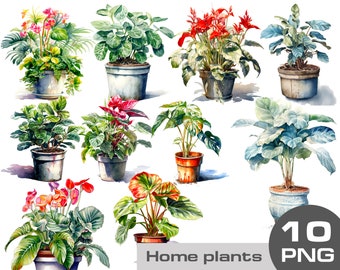 Imágenes prediseñadas de plantas de casa de acuarela, imágenes prediseñadas de plantas en una maceta, png de vegetación, png de plantas de casa, imágenes prediseñadas de uso comercial gratis de plantas caseras png
