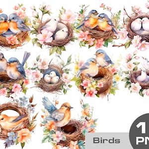 Watercolor bird nests png clipart, cute birds and blossoms PNG, Birds Houses clipart, Watercolor Bird Nest Clipart PNG Sublimation