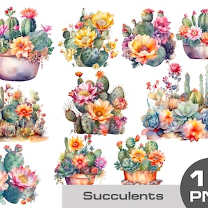 Watercolor succulent clipart, cute watercolor cactus clipart, succulent with flowers clipart, cactus with flowers png, succulent cactus png