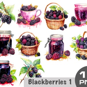Blackberries clipart, watercolor blackberries clipart png, blackberries basket, blackberries jam, blackberries dessert, free Commercial png