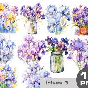May include: Ten watercolor illustrations of irises in various colors and arrangements. Some irises are in vases, others are in baskets, and some are in bouquets. The illustrations are all on a white background.