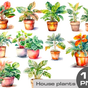 Watercolor home plant clipart, Plant in a pot clipart, Greenery png, House plant png, house plants free commercial use clipart png
