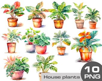 Imágenes prediseñadas de plantas caseras de acuarela, imágenes prediseñadas de plantas en una maceta, png de vegetación, png de plantas de la casa, imágenes prediseñadas de uso comercial gratis de plantas de la casa png
