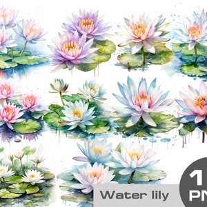 Watercolor Water lily clipart, Waterlily clipart png, watercolor lotus clipart png Sublimation, Pond Floral clipart, wedding flowers clipart