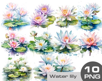Clipart della ninfea dell'acquerello, clipart della ninfea png, sublimazione del clipart del loto dell'acquerello png, clipart floreale dello stagno, clipart dei fiori di nozze