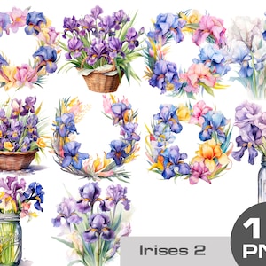 Watercolor iris clipart png, iris bouquet in a jar, irises in a vase, iris flower wreaths, irises sublimation png, Watercolor irises clipart