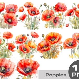 Aquarelle coquelicots Clipart png, faire-part de mariage aquarelle fleurs png, mariage rustique clipart png, pays fleur sauvage png clipart