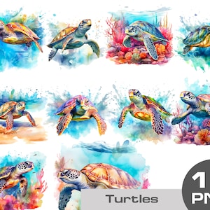 Watercolor turtle clipart, turtle in a water, swimming turtle in a sea, turtle in a coral reef, ocean turtle png Clipart free commercial use