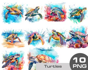 Watercolor turtle clipart, turtle in a water, swimming turtle in a sea, turtle in a coral reef, ocean turtle png Clipart free commercial use