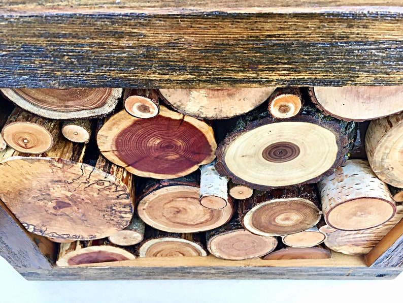 Wood Branch Art Reclaimed Wood Wall Artwood Slice Artwood Etsy