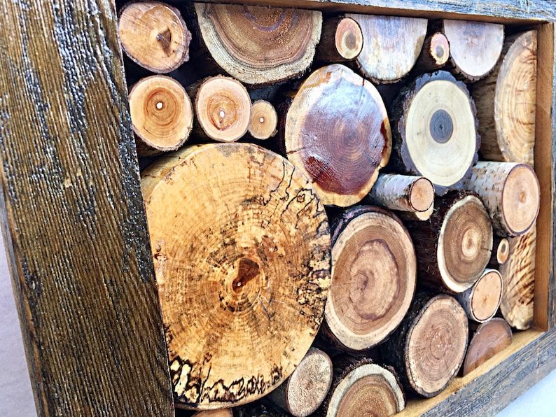Wood Branch Art Reclaimed Wood Wall Artwood Slice Artwood Etsy