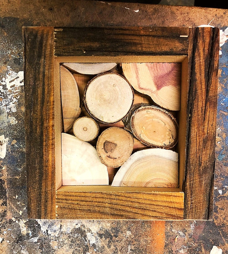 Wood Branch Art Reclaimed Wood Wall Artwood Slice Artwood Etsy