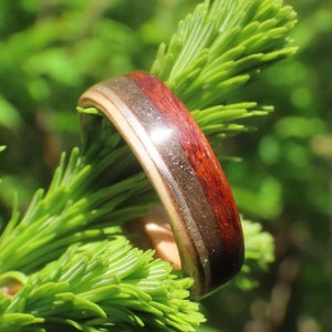 Meteorite Metal ring, Meteorite Ring,  Wooden Rings, Meteorite engagement ring, Wood ring, Mens wedding band, Meteorite wedding band,