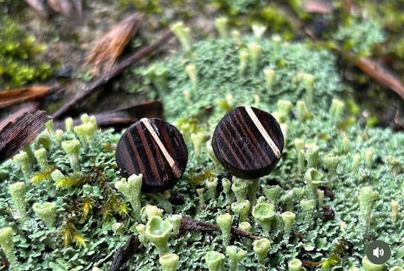 Wenge Wood Earrings for woman, 14K Gold Wooden Earrings, Natural Wooden Earrings, Wooden Etsy stud earrings, Etsy studs, Etsy earrings,