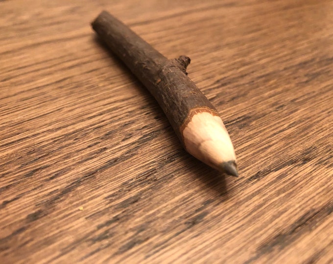 Canada Beaver Dam Wood Pencil, Creative Pencil, Beaver Chewed Wood, Handmade Pencil Quebec, Original Pencil, Natural Pencil, Artisan Pencil,