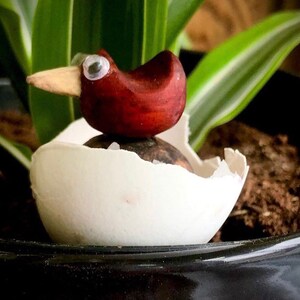Wood work art creation. Wooden sculpture of Mister Cardi. Decorative bird in wood, made of red padauk and cotton maple