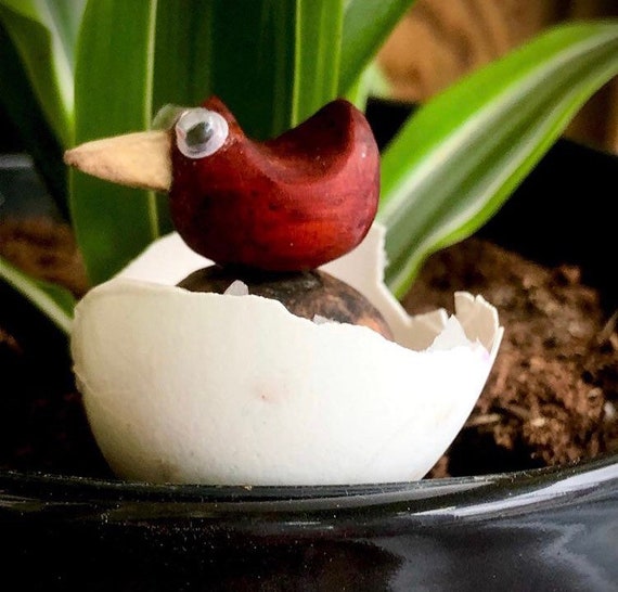 Wood work art creation. Wooden sculpture of Mister Cardi. Decorative bird in wood, made of red padauk and cotton maple