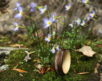 Wood Wedding Band made of Central Park Concrete, Walnut Mens Wood Ring, Wooden Ring, Wood Ring, Bentwood Ring,  Nature Engagement Ring,