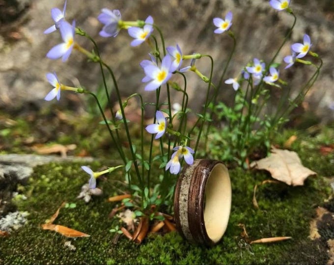 Wood Wedding Band made of Central Park Concrete, Walnut Mens Wood Ring, Wooden Ring, Wood Ring, Bentwood Ring,  Nature Engagement Ring,