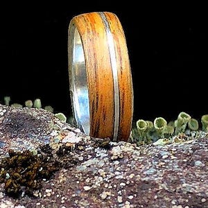 Whiskyfass Ring, Whisky Ring, 925 Silber, Geschenk für Ihn, Whiskyfass, Holz, Harz Ring, Holzring,